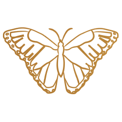 Golden butterfly illustration
