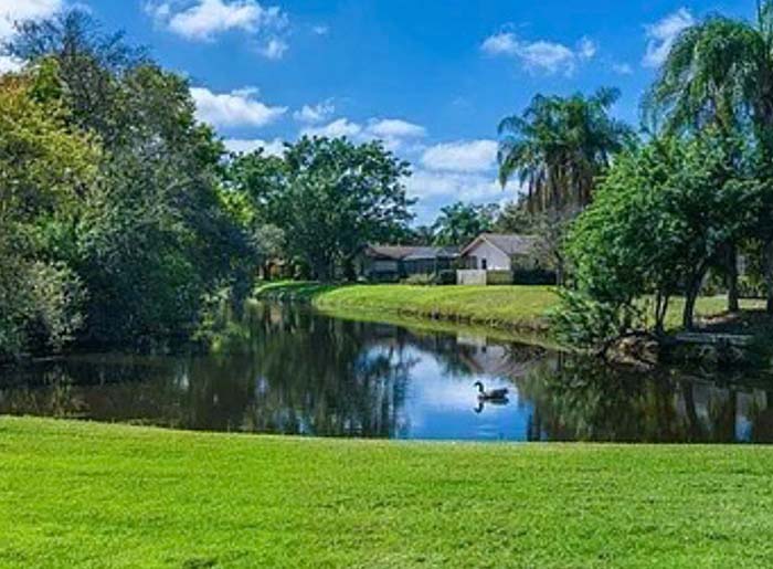 Graphic design image from Sandy Mitsch's portfolio