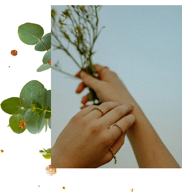 Sandy Mitsch Testimonial