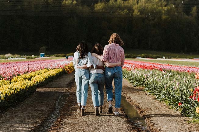 Sandy Mitsch greeting visualization